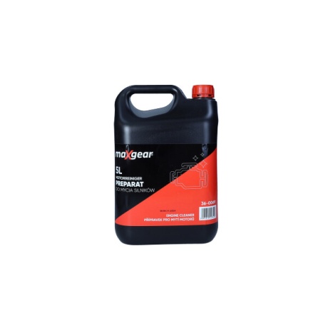 Mootoripesu vahend 5L